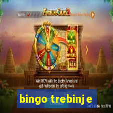 bingo trebinje