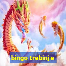 bingo trebinje