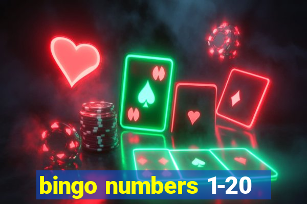 bingo numbers 1-20