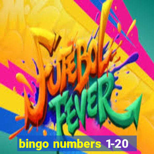 bingo numbers 1-20