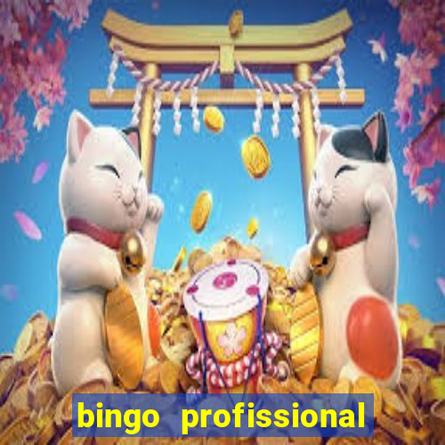 bingo profissional n 3