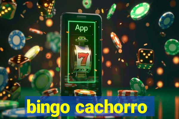 bingo cachorro