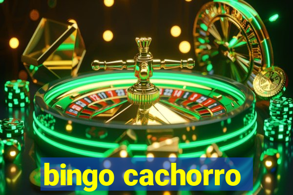 bingo cachorro