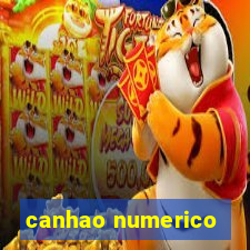 canhao numerico