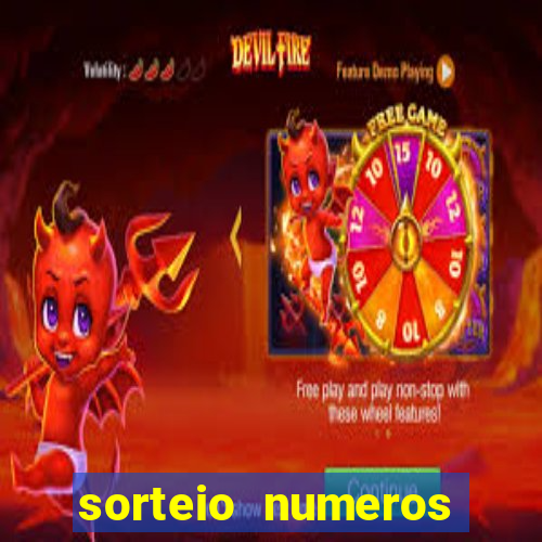 sorteio numeros bingo online