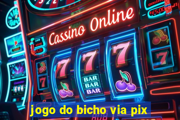 jogo do bicho via pix