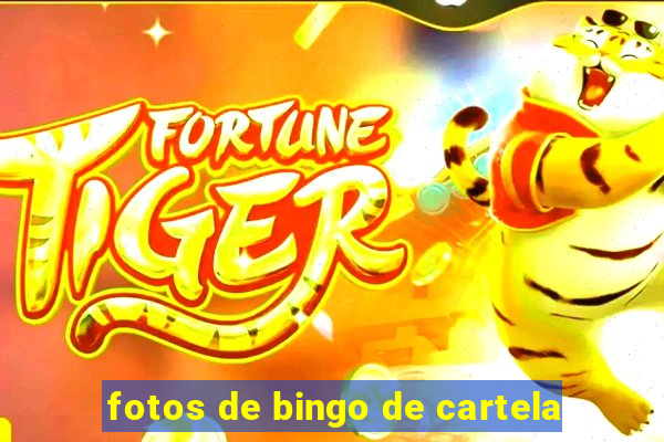 fotos de bingo de cartela