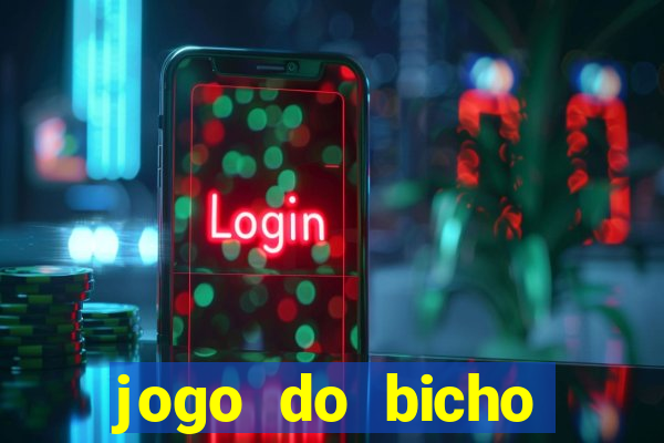 jogo do bicho crash bingo