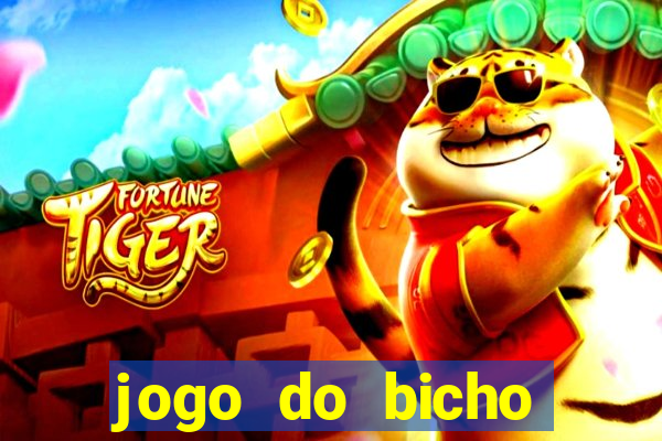 jogo do bicho crash bingo