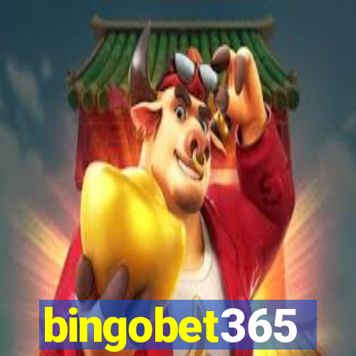 bingobet365