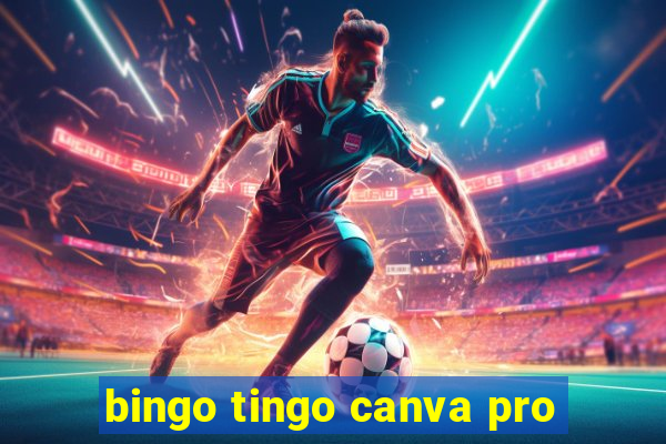 bingo tingo canva pro