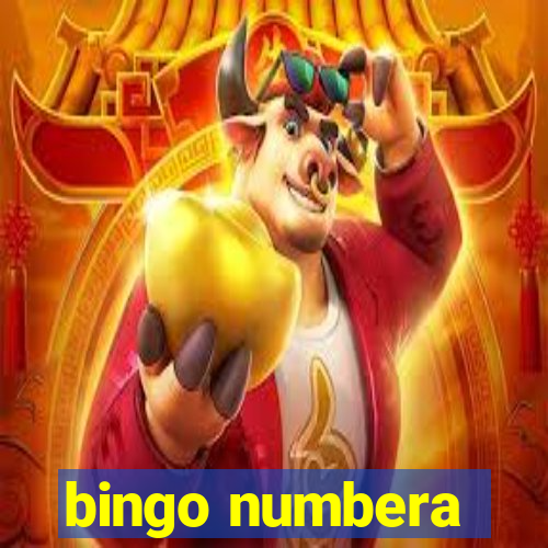 bingo numbera