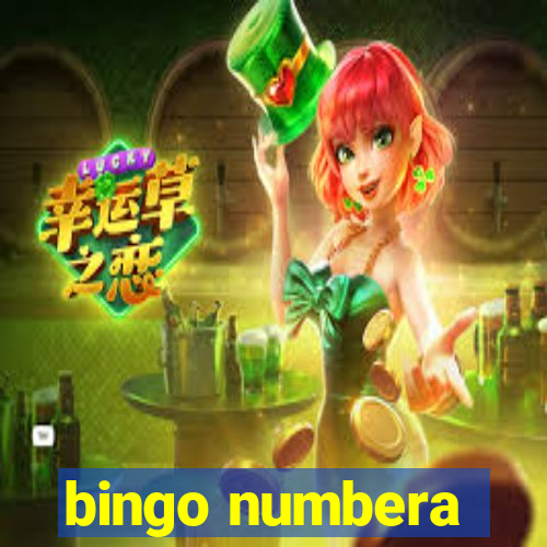 bingo numbera