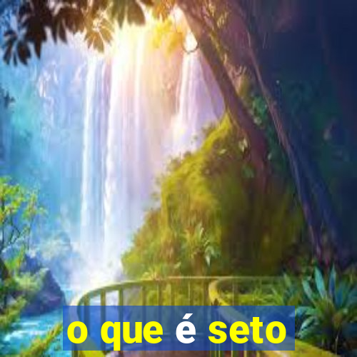 o que é seto