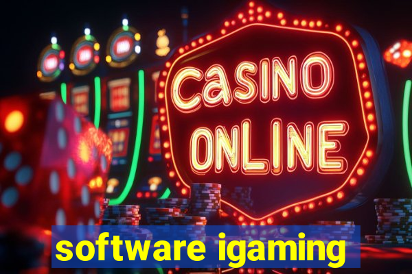 software igaming