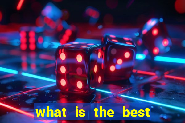 what is the best bingo site