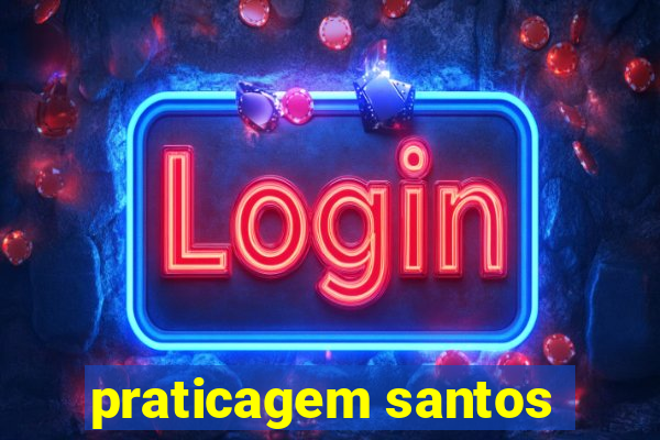 praticagem santos