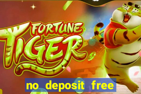 no deposit free bingo bonus