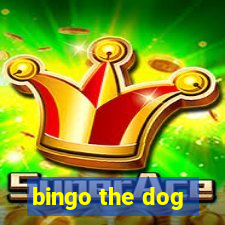 bingo the dog