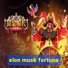 elon musk fortuna