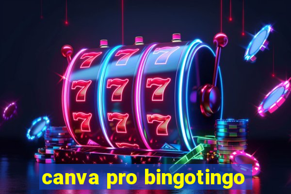 canva pro bingotingo