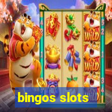 bingos slots