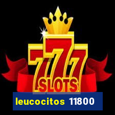 leucocitos 11800