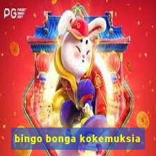 bingo bonga kokemuksia