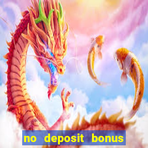 no deposit bonus bingo casino