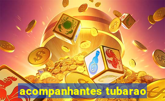 acompanhantes tubarao