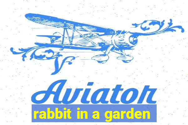 rabbit in a garden