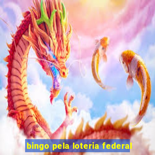 bingo pela loteria federal