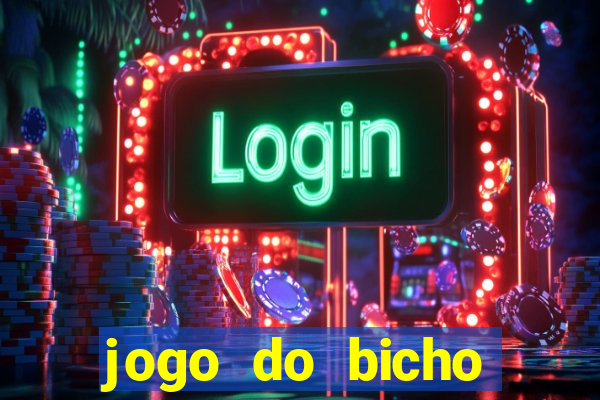 jogo do bicho crash bingo