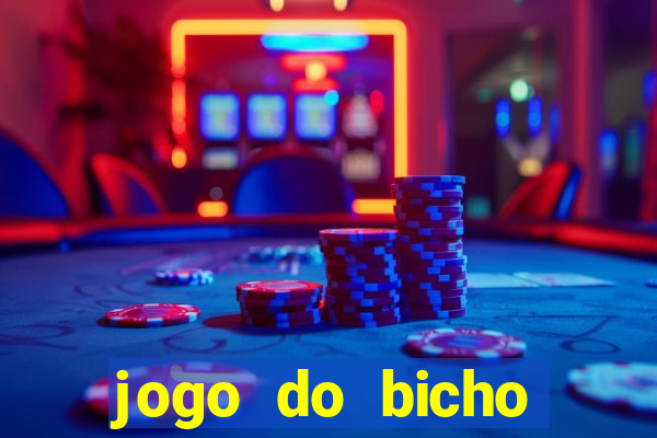 jogo do bicho crash bingo