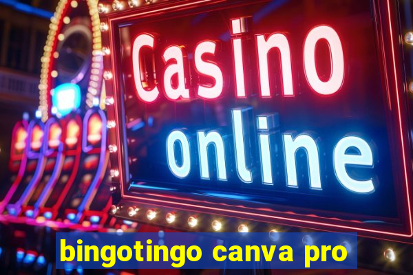 bingotingo canva pro