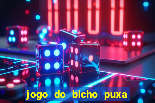 jogo do bicho puxa de dona maria