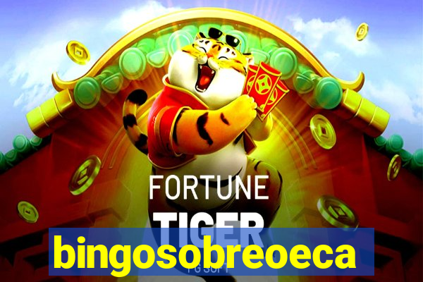 bingosobreoeca